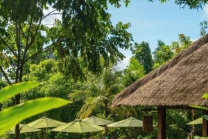 Ubud: Poolside Dining at Tropical Oasis Bar E‑Voucher
