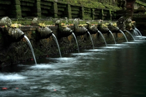 Ubud Premium Escape – Discover Bali's Hidden Paradise