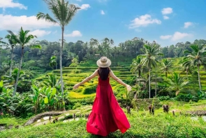 Ubud Premium Escape – Discover Bali's Hidden Paradise