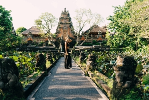 Ubud: Private All-Inclusive Tour mit Mittagessen