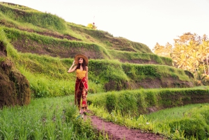 Ubud: Private All-Inclusive Tour mit Mittagessen