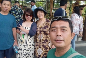 Bali: Yksityinen lentokenttäkuljetus Ubudiin tai Ubudista