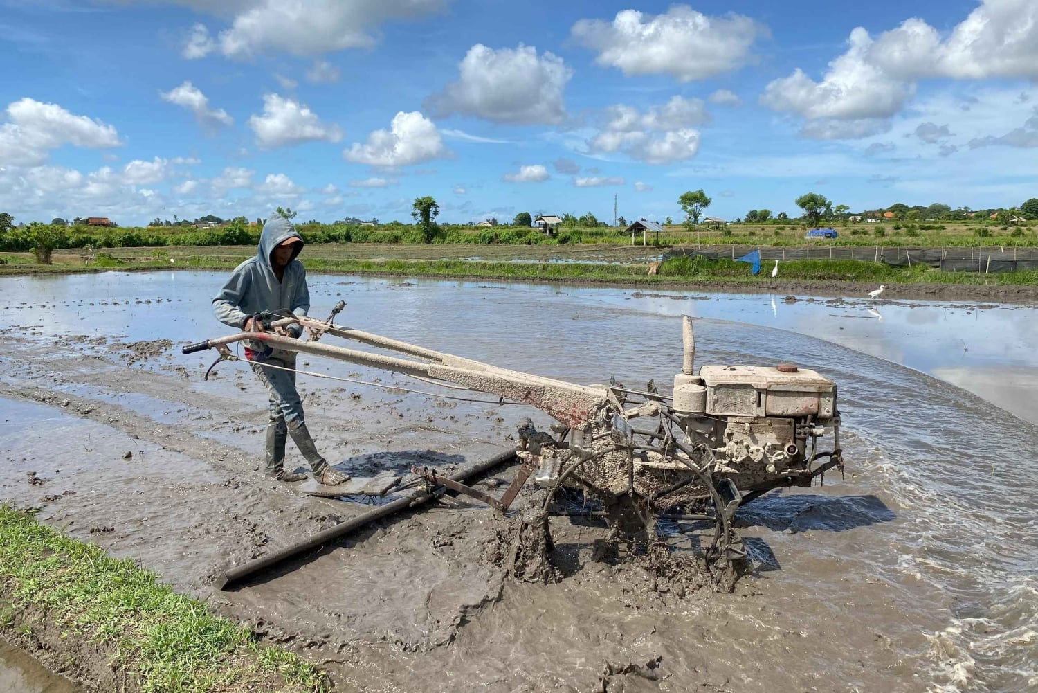 Ubud : PRIVATE Bike Tour inside Rice Field Ubud Countryside