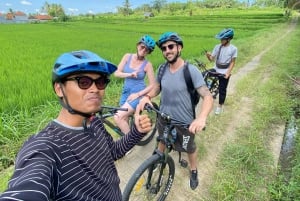 Ubud : PRIVATE Bike Tour im Reisfeld Ubud Countryside