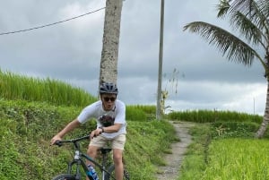 Ubud : PRIVATE Bike Tour im Reisfeld Ubud Countryside
