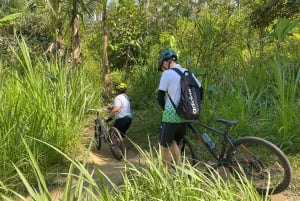 Ubud : PRIVATE Bike Tour im Reisfeld Ubud Countryside