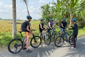 Ubud : PRIVATE Bike Tour im Reisfeld Ubud Countryside