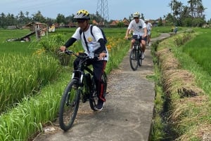 Ubud : PRIVATE Bike Tour im Reisfeld Ubud Countryside