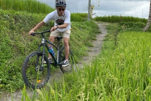 Ubud : PRIVATE Bike Tour inside Rice Field Ubud Countryside