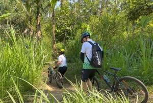 Ubud : PRIVATE Bike Tour inside Rice Field Ubud Countryside