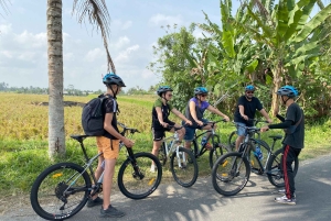 Ubud : PRIVATE Bike Tour inside Rice Field Ubud Countryside