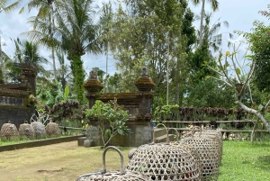 Ubud : PRIVATE Bike Tour inside Rice Field Ubud Countryside