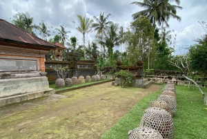 Ubud : PRIVATE Bike Tour inside Rice Field Ubud Countryside
