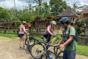 Ubud : PRIVATE Bike Tour inside Rice Field Ubud Countryside