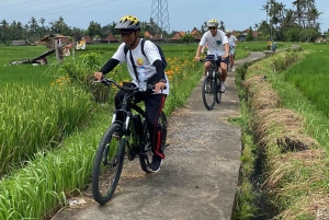 Ubud : PRIVATE Bike Tour inside Rice Field Ubud Countryside