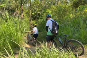 Ubud : Visite privée à vélo avec rizière, volcan, repas, piscine.