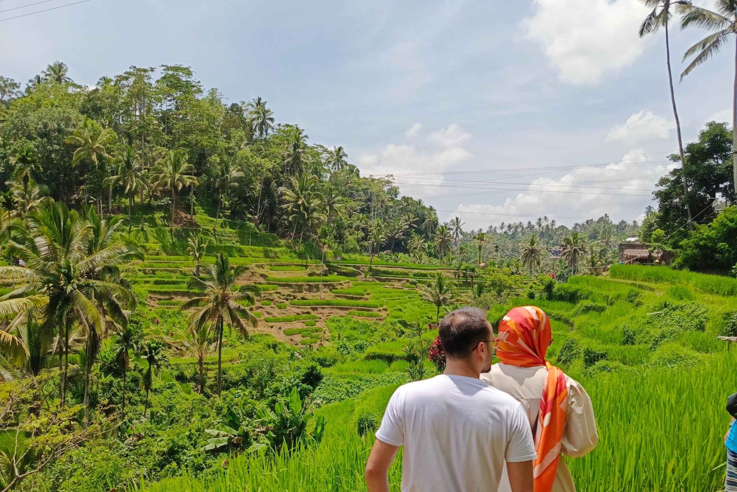 Ubud: Private Charter Car 10hours.