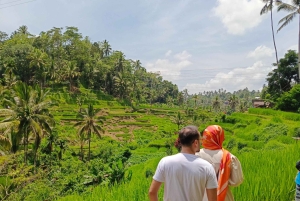 Ubud: Private Charter Car 10hours.
