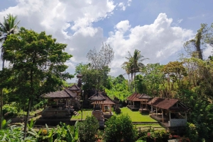 Ubud: Private Charter Car 10hours.