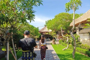 Ubud: Private Charter Car 10hours.