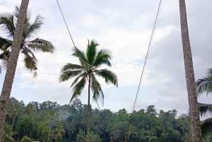 Ubud: Private Charter Car 10hours.