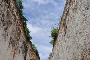 Ubud: Private Charter Car 10hours.