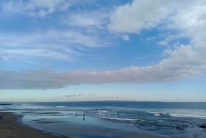 Ubud: Private Charter Car 10hours.