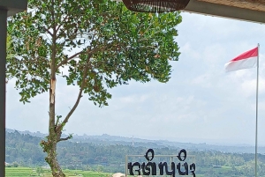 Ubud: Private Charter Car 10hours.