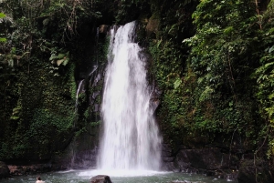 Ubud: Private Charter Car 10hours.