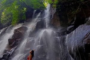 Ubud: Private Charter Car 10hours.