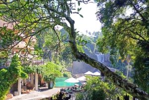 Ubud: Private Charter Car 10hours.