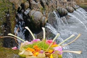 Ubud: Private Charter Car 10hours.