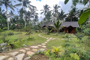 Ubud: Private Cooking Class with Market & Organic Farm Visit