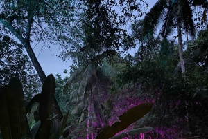 Ubud: Private Cooking Class with Market & Organic Farm Visit