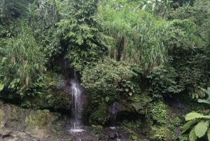 Ubud: aula de culinária privada com visita ao mercado e à quinta orgânica