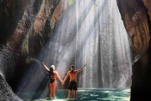 Ubud : Private Day Tour Waterfall And Rice Terrace.