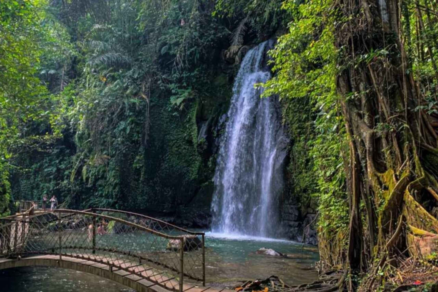 Ubud: Private Day Tour with Waterfall and Rice Terrace