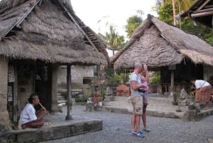 Ubud: Private Day Tour with Waterfall and Rice Terrace