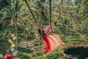 Ubud: Private Day Tour with Waterfall and Rice Terrace