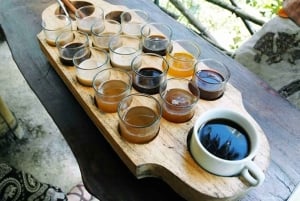 Ubud: Private Day Tour with Waterfall and Rice Terrace