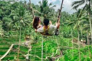 Ubud: Private Day Tour with Waterfall and Rice Terrace