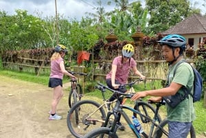 Ubud: Sykkeltur nedoverbakke med rismarker, vulkan og måltid