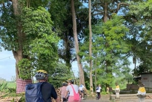 Ubud: Sykkeltur nedoverbakke med rismarker, vulkan og måltid