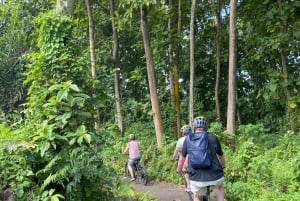 Ubud: Sykkeltur nedoverbakke med rismarker, vulkan og måltid