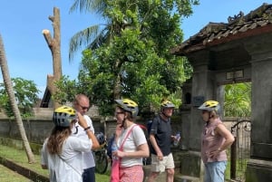 Ubud: Sykkeltur nedoverbakke med rismarker, vulkan og måltid