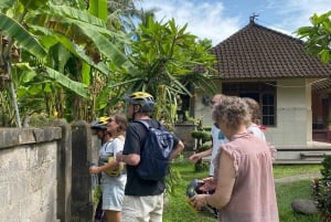 Ubud: Sykkeltur nedoverbakke med rismarker, vulkan og måltid