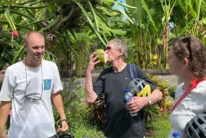 Ubud: Sykkeltur nedoverbakke med rismarker, vulkan og måltid