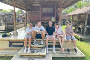 Ubud: Sykkeltur nedoverbakke med rismarker, vulkan og måltid