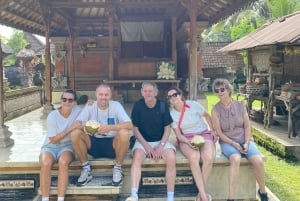 Ubud: Sykkeltur nedoverbakke med rismarker, vulkan og måltid