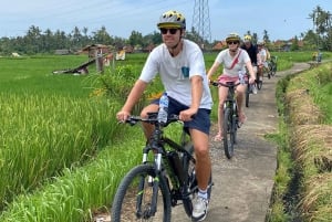 Ubud: Sykkeltur nedoverbakke med rismarker, vulkan og måltid